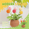 BloomCraft™ - Wool pot plants