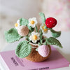 BloomCraft™ - Wool pot plants