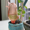 DripTweet™ - Hassle-free plant care for busy gardeners!