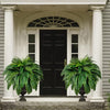 Verdefy™ - Artificial ferns