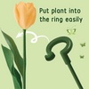 EasyStake™ - Support plants
