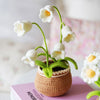 BloomCraft™ - Wool pot plants