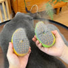 Steamybrush™ - Steamy Dog Brush