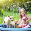 DogBrunne™ - Keep your faithful friend cool on hot summer days!