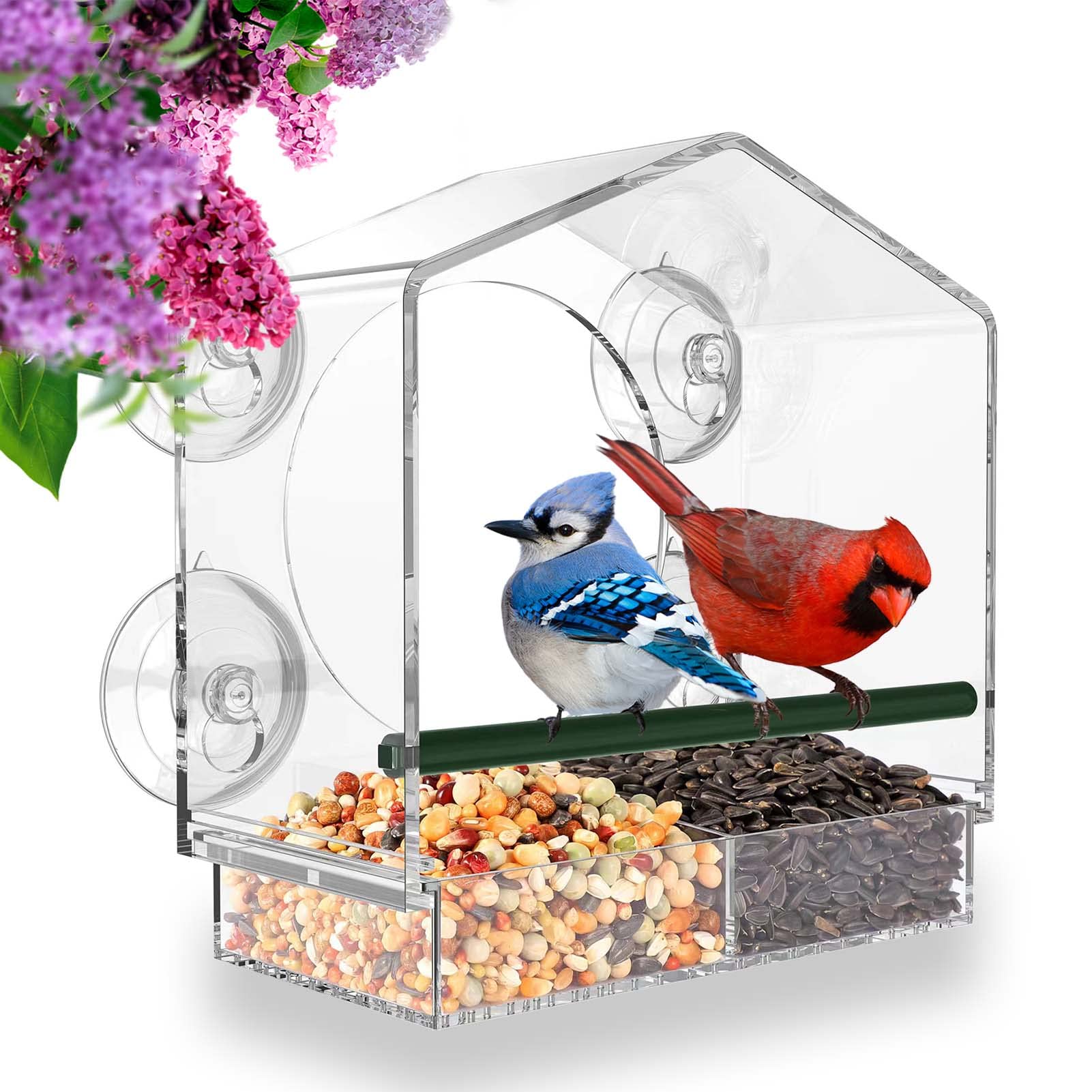 TweetieFeeder™ - Acrylic bird feeder for exterior windows [last day discount]