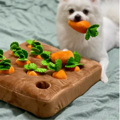 CarrotToy™ - Let your pets play