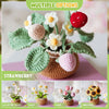 BloomCraft™ - Wool pot plants