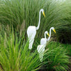 WhirlWing™ - Dancing Birds Garden Metal Art