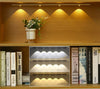 THIS WEEK ONLY! Motion Sensored LED Cabinet Lighting Strips