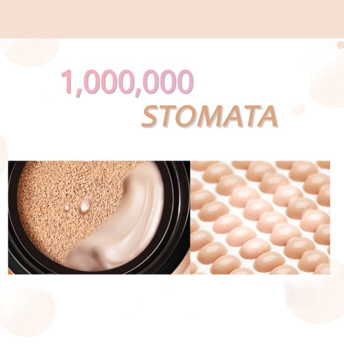 Flawless Air Cushion Foundation