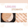 Flawless Air Cushion Foundation