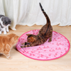 CatDance™ - Activate your cat's natural instincts!
