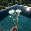 Immortalove Eternal Love Artificial Flower