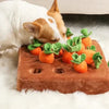 CarrotToy™ - Let your pets play