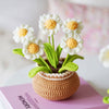BloomCraft™ - Wool pot plants