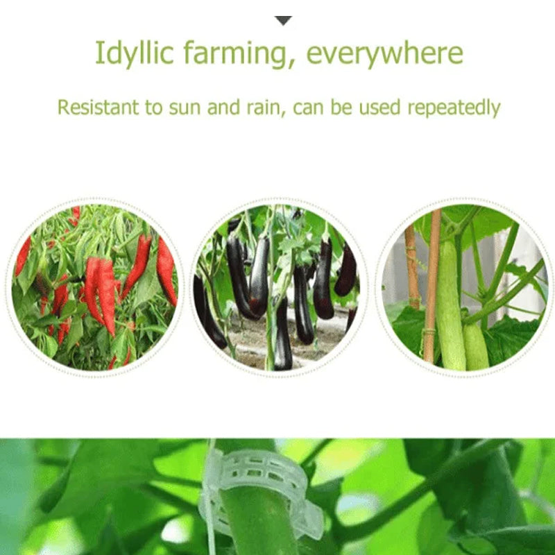 | Stemlink Plant Support Clips | Set of 100 PCS