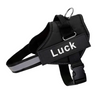 Personalised Dog Harness