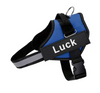 Personalised Dog Harness