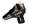Personalised Dog Harness