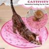LAST DAY ! Cattivity Interactive Hunting Toy for Cats