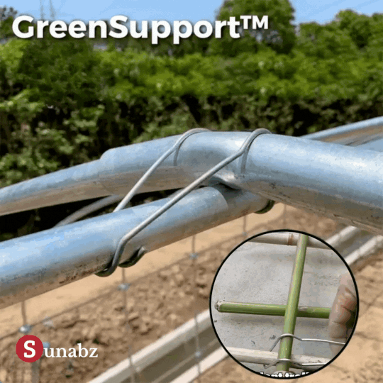 5+5 FREE | GreenSupport™ - Buckles to connect