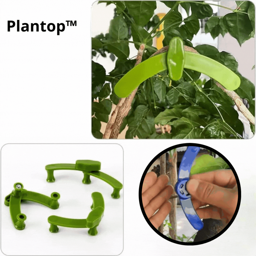 Plantop™ - Angle-adjustable plant training clips - Improve the life of your plants!