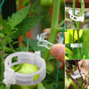 | Stemlink Plant Support Clips | Set of 100 PCS