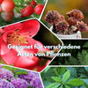 1+1 Free | GrowBoost™️ - Bring plants back to life in an environmentally friendly way!
