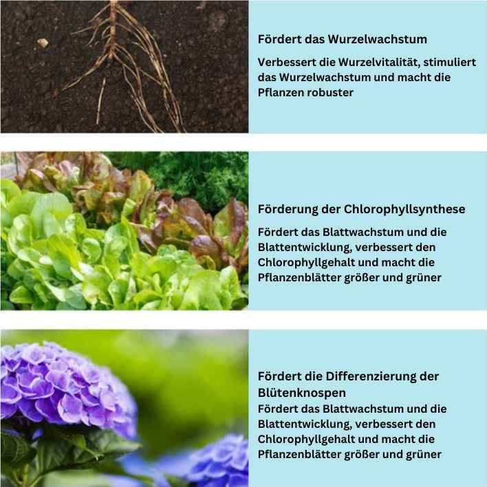 1+1 Free | GrowBoost™️ - Bring plants back to life in an environmentally friendly way!