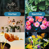 1+1 Free | GrowBoost™️ - Bring plants back to life in an environmentally friendly way!