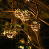 | Sunspire™ Pineapple Solar Lights