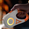 Easyleash - dog leash for night walks