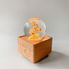 FloraSound™ - Bluetooth speaker with preserved flower [last day discount]