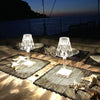 DiamondCrystal™ - Diamond Crystal LED Lamp