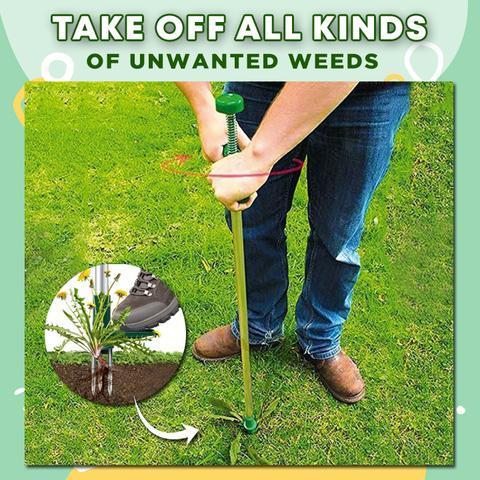 Standing Plant Root Remover | Ends Today!