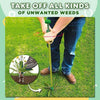 Standing Plant Root Remover | Ends Today!