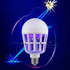 Light Bulb Zapper