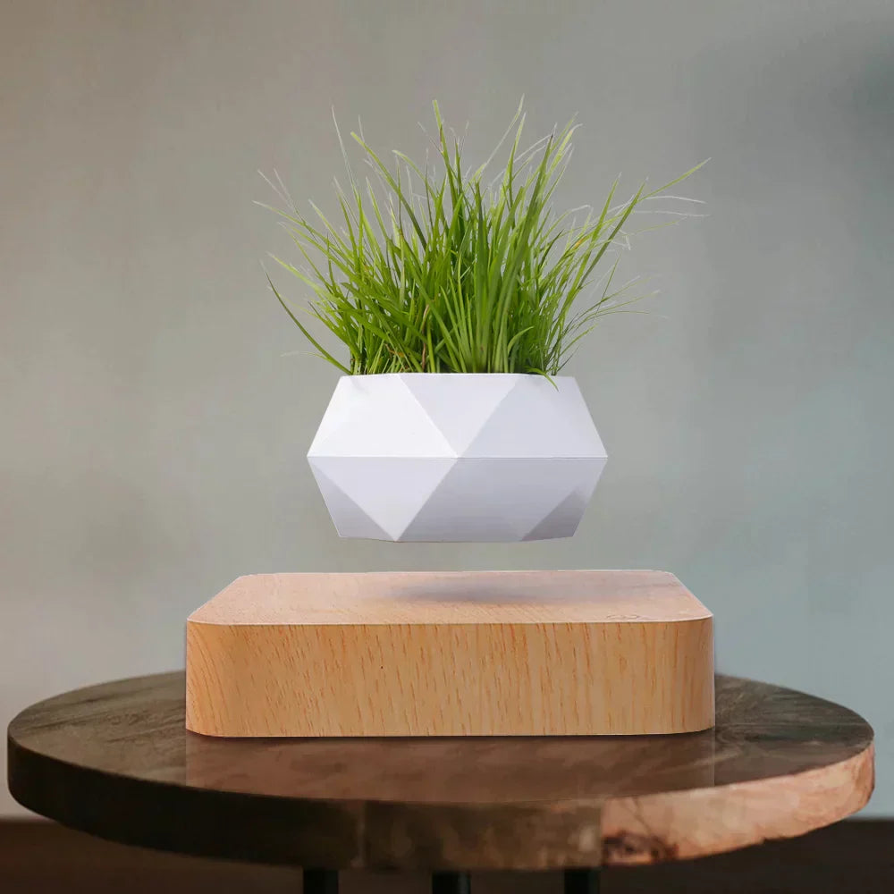 LeviPot™ - Floating MystiGrove Bonsai Pot