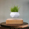 LeviPot™ - Floating MystiGrove Bonsai Pot