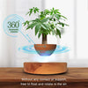 LeviPot™ - Floating MystiGrove Bonsai Pot