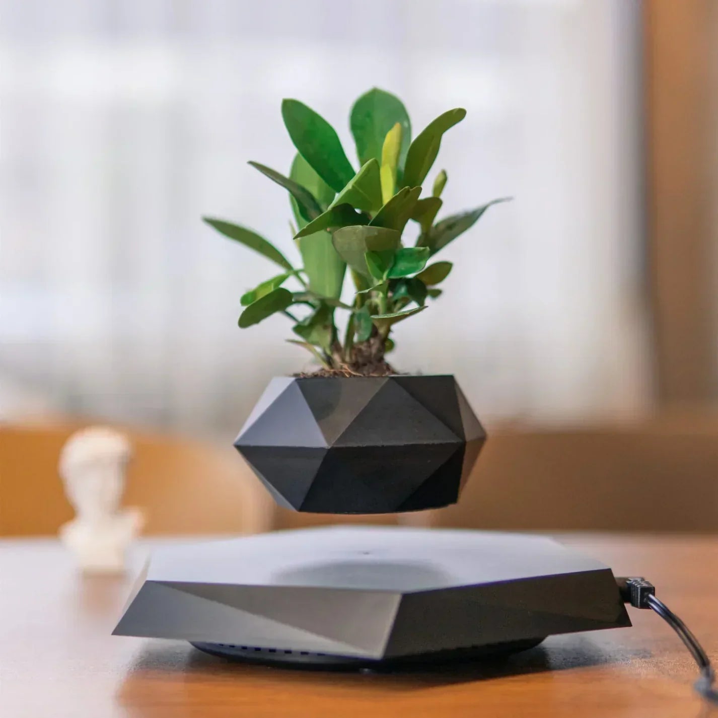 LeviPot™ - Floating MystiGrove Bonsai Pot