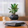LeviPot™ - Floating MystiGrove Bonsai Pot