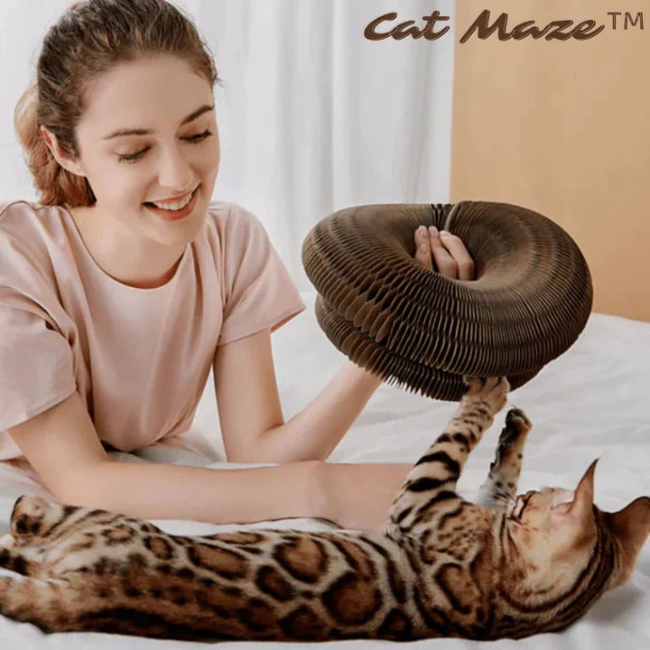 FelineLabyrinth™ - Fabehe cat toy [last day discount]