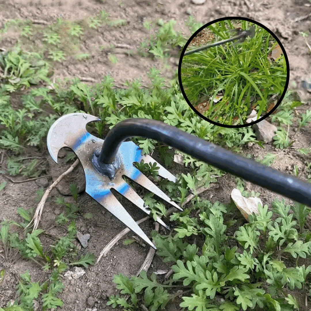 Weedy™ - Envided weed cutter
