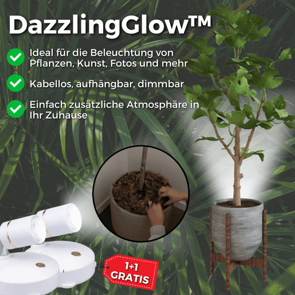 1+1 FREE | DazzlingGlow™️ - Wireless LED spotlight