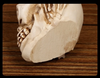 | Skullight 3pc Halloween Skull Candle Holder Set