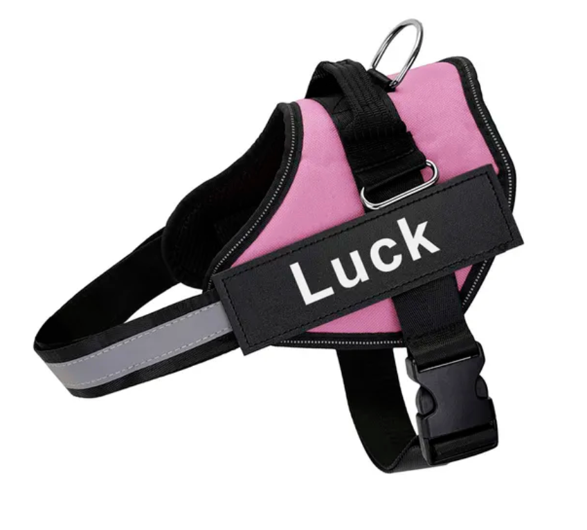 Personalised Dog Harness
