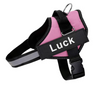 Personalised Dog Harness