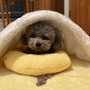 PetPillow™ - The ultimate calming companion for your pet [last day discount]