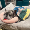 PetPillow™ - The ultimate calming companion for your pet [last day discount]